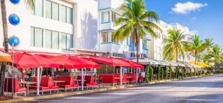 Miami SEO photo - Streets of Miami Florida with palm trees on a sunny day
